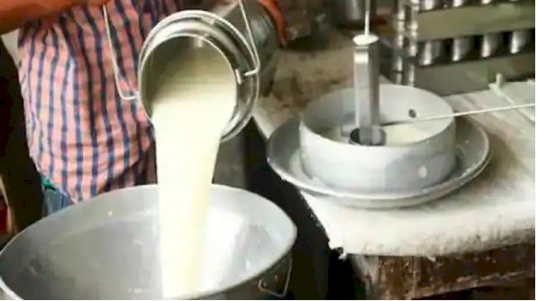 भारत में प्रति व्यक्ति पर 406 ग्राम दूध की खपत, उत्पादन पिछले 6 साल में 6.3 फीसद सालाना की दर से बढ़ा