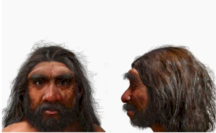ड्रैगन मैन: 85 साल पुरानी खोपड़ी हो सकती है मानव जाति की नजदीकी पूर्वज, वैज्ञानिकों ने किया दावा