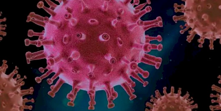 20,000 साल पहले East Asia में हुआ था Coronavirus का Outbreak, स्‍टडी में हुए अहम खुलासे